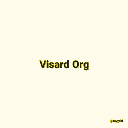 Visard Org